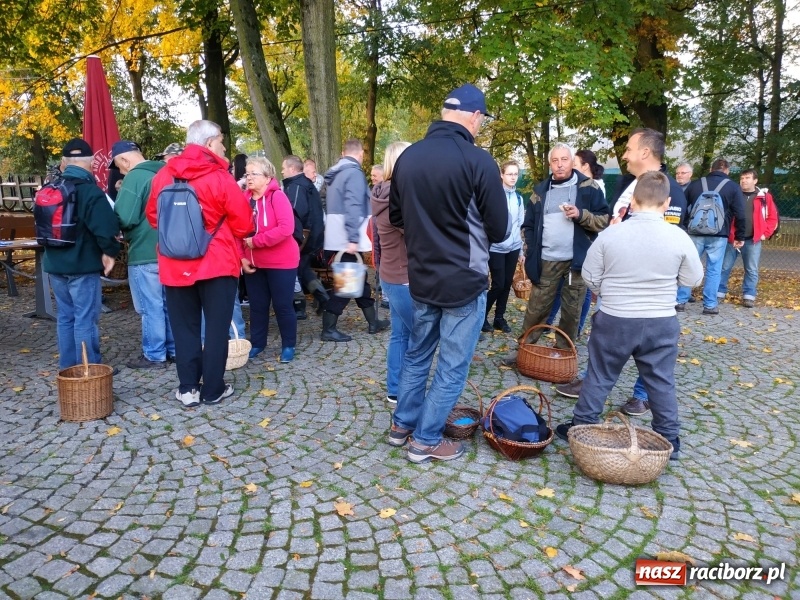 Zdjęcie w galerii na portalu naszraciborz.pl: Aż 125 osób pojechało kolejką w las walczyć o tytuł najlepszego grzybiarza ziemi raciborskiej wiadomości z regionu
