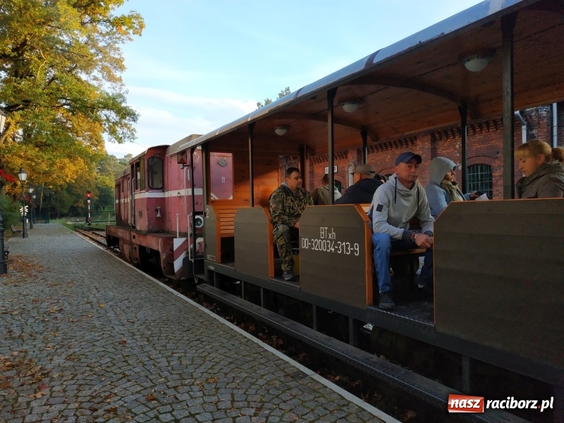 Zdjęcie w galerii na portalu naszraciborz.pl: Aż 125 osób pojechało kolejką w las walczyć o tytuł najlepszego grzybiarza ziemi raciborskiej wiadomości z regionu