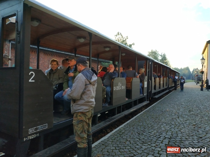 Zdjęcie w galerii na portalu naszraciborz.pl: Aż 125 osób pojechało kolejką w las walczyć o tytuł najlepszego grzybiarza ziemi raciborskiej wiadomości z regionu
