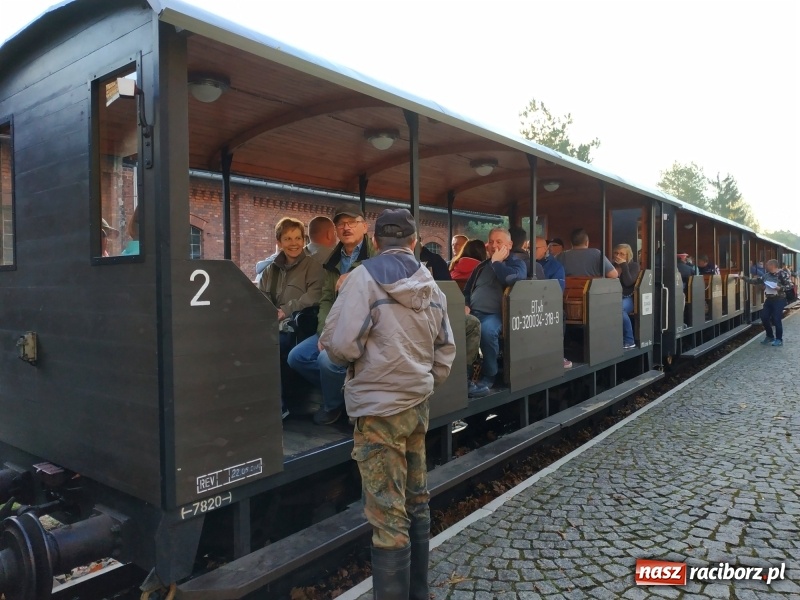 Zdjęcie w galerii na portalu naszraciborz.pl: Aż 125 osób pojechało kolejką w las walczyć o tytuł najlepszego grzybiarza ziemi raciborskiej wiadomości z regionu