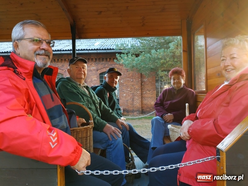 Zdjęcie w galerii na portalu naszraciborz.pl: Aż 125 osób pojechało kolejką w las walczyć o tytuł najlepszego grzybiarza ziemi raciborskiej wiadomości z regionu