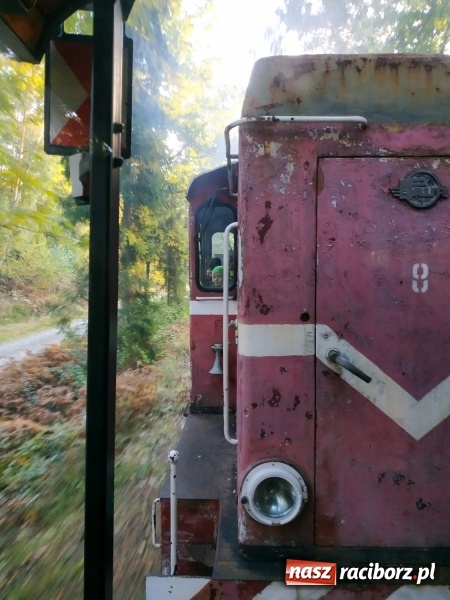 Zdjęcie w galerii na portalu naszraciborz.pl: Aż 125 osób pojechało kolejką w las walczyć o tytuł najlepszego grzybiarza ziemi raciborskiej wiadomości z regionu