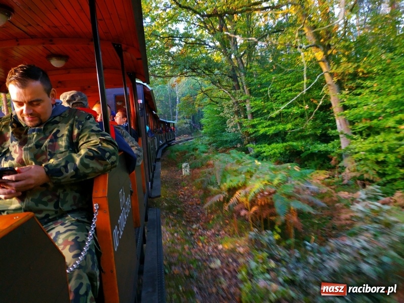 Zdjęcie w galerii na portalu naszraciborz.pl: Aż 125 osób pojechało kolejką w las walczyć o tytuł najlepszego grzybiarza ziemi raciborskiej wiadomości z regionu