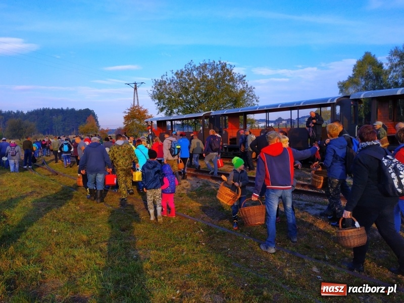 Zdjęcie w galerii na portalu naszraciborz.pl: Aż 125 osób pojechało kolejką w las walczyć o tytuł najlepszego grzybiarza ziemi raciborskiej wiadomości z regionu