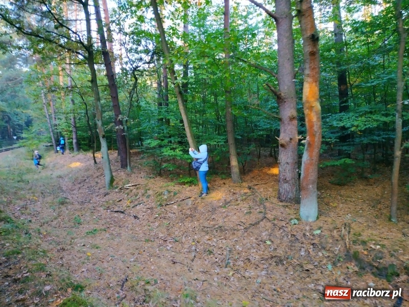 Zdjęcie w galerii na portalu naszraciborz.pl: Aż 125 osób pojechało kolejką w las walczyć o tytuł najlepszego grzybiarza ziemi raciborskiej wiadomości z regionu
