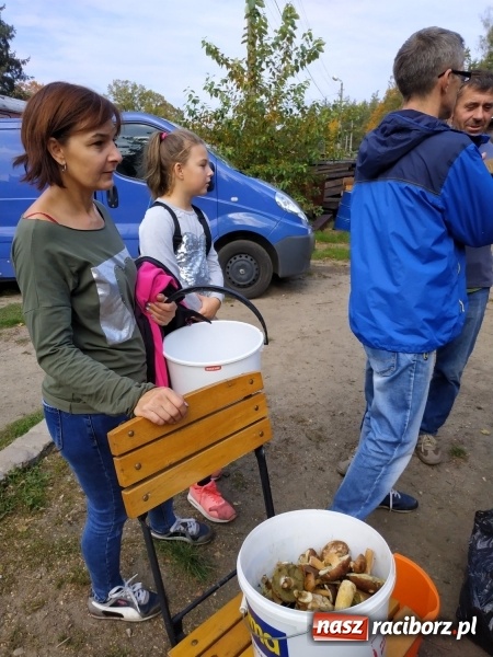 Zdjęcie w galerii na portalu naszraciborz.pl: Aż 125 osób pojechało kolejką w las walczyć o tytuł najlepszego grzybiarza ziemi raciborskiej wiadomości z regionu