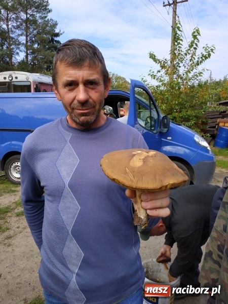 Zdjęcie w galerii na portalu naszraciborz.pl: Aż 125 osób pojechało kolejką w las walczyć o tytuł najlepszego grzybiarza ziemi raciborskiej wiadomości z regionu