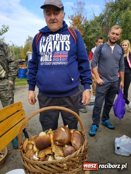 Zdjęcie w galerii na portalu naszraciborz.pl: Aż 125 osób pojechało kolejką w las walczyć o tytuł najlepszego grzybiarza ziemi raciborskiej wiadomości z regionu