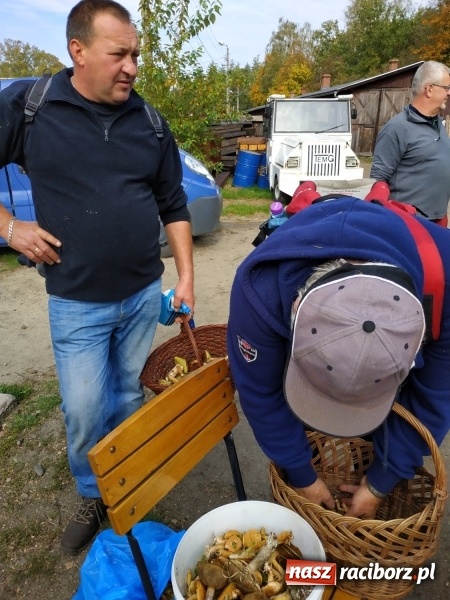 Zdjęcie w galerii na portalu naszraciborz.pl: Aż 125 osób pojechało kolejką w las walczyć o tytuł najlepszego grzybiarza ziemi raciborskiej wiadomości z regionu