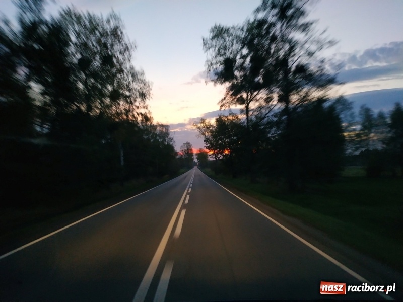 Zdjęcie w galerii na portalu naszraciborz.pl: Aż 125 osób pojechało kolejką w las walczyć o tytuł najlepszego grzybiarza ziemi raciborskiej wiadomości z regionu