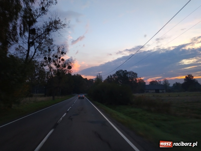 Zdjęcie w galerii na portalu naszraciborz.pl: Aż 125 osób pojechało kolejką w las walczyć o tytuł najlepszego grzybiarza ziemi raciborskiej wiadomości z regionu