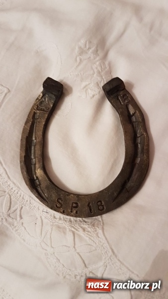 Zdjęcie w galerii na portalu naszraciborz.pl: Języki jednoczą świat. Uczniowie SP18 na wymianie w Roth wiadomości z regionu