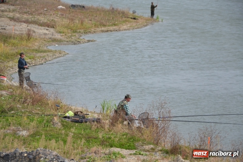 Zdjęcie w galerii na portalu naszraciborz.pl: Kiepskie branie na finał sezonu na stawie Brudny  wiadomości z regionu