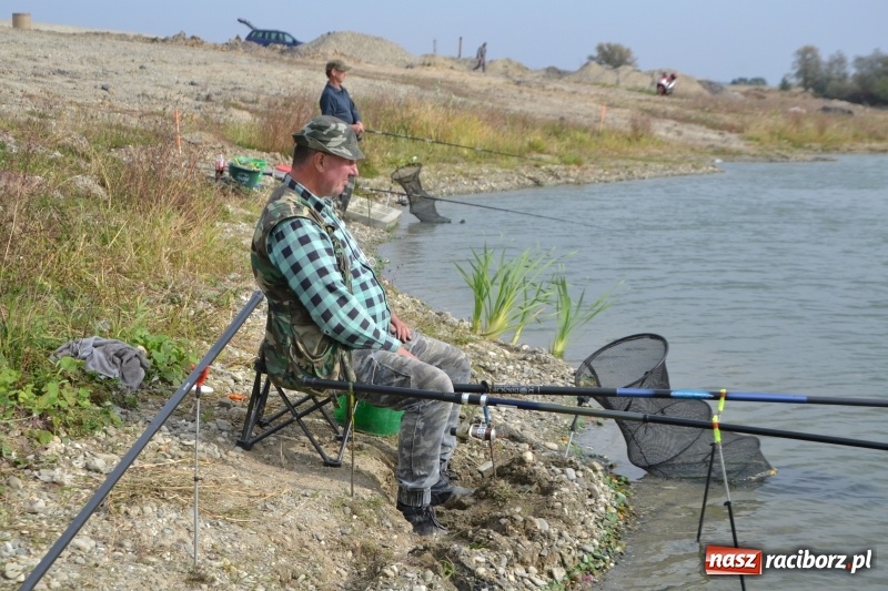 Zdjęcie w galerii na portalu naszraciborz.pl: Kiepskie branie na finał sezonu na stawie Brudny  wiadomości z regionu
