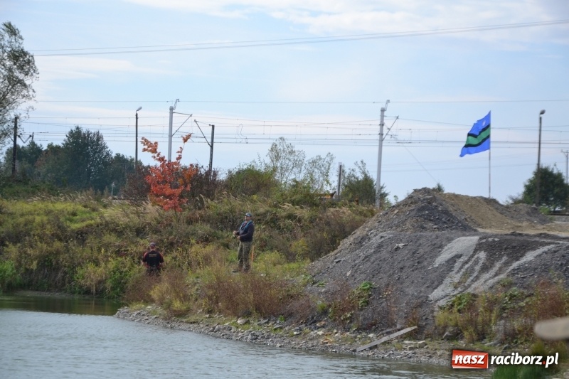 Zdjęcie w galerii na portalu naszraciborz.pl: Kiepskie branie na finał sezonu na stawie Brudny  wiadomości z regionu