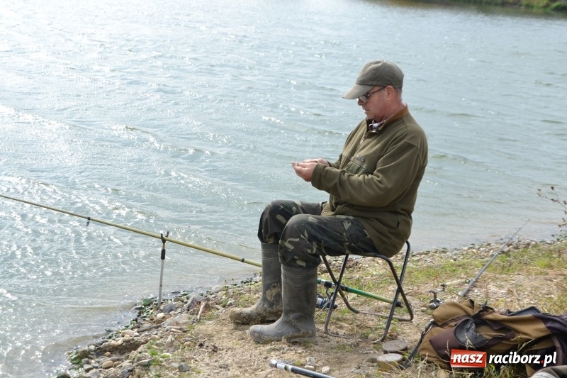Zdjęcie w galerii na portalu naszraciborz.pl: Kiepskie branie na finał sezonu na stawie Brudny  wiadomości z regionu