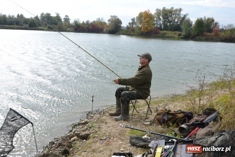 Zdjęcie w galerii na portalu naszraciborz.pl: Kiepskie branie na finał sezonu na stawie Brudny  wiadomości z regionu