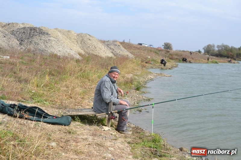 Zdjęcie w galerii na portalu naszraciborz.pl: Kiepskie branie na finał sezonu na stawie Brudny  wiadomości z regionu