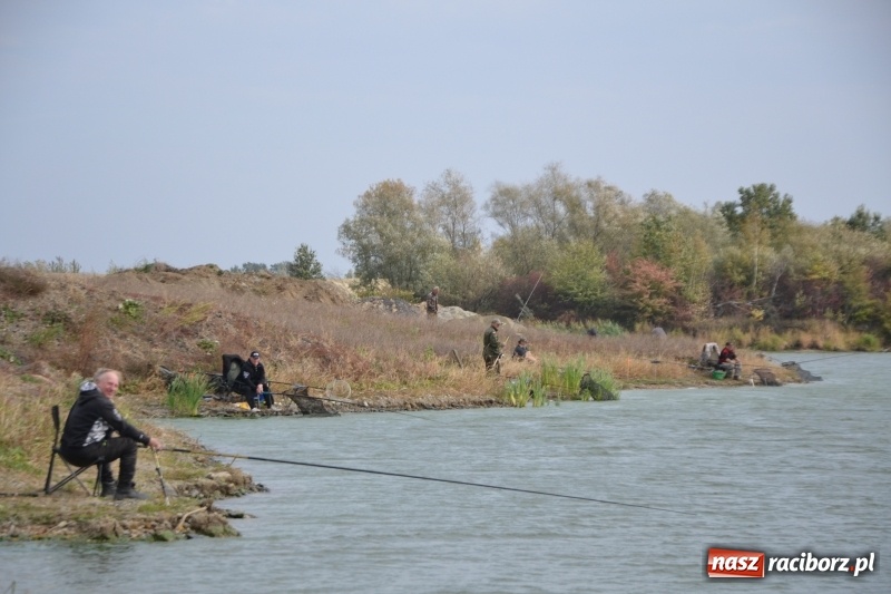 Zdjęcie w galerii na portalu naszraciborz.pl: Kiepskie branie na finał sezonu na stawie Brudny  wiadomości z regionu
