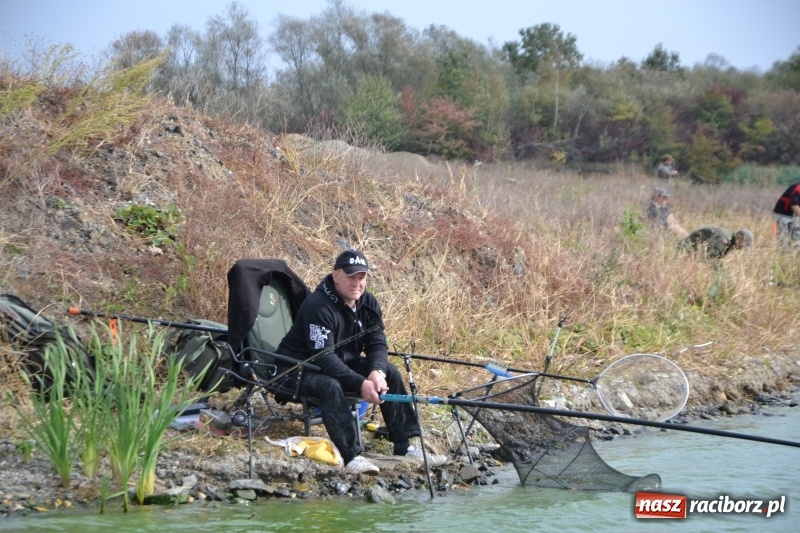 Zdjęcie w galerii na portalu naszraciborz.pl: Kiepskie branie na finał sezonu na stawie Brudny  wiadomości z regionu