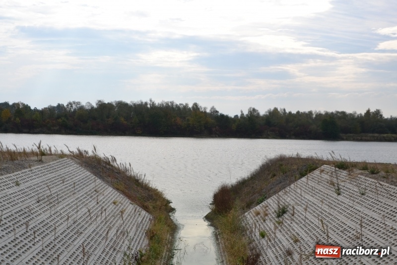 Zdjęcie w galerii na portalu naszraciborz.pl: Kiepskie branie na finał sezonu na stawie Brudny  wiadomości z regionu