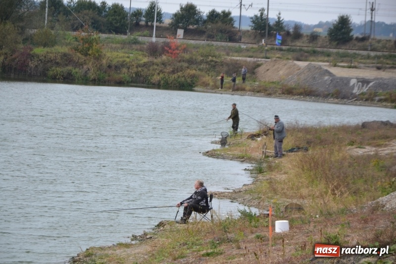 Zdjęcie w galerii na portalu naszraciborz.pl: Kiepskie branie na finał sezonu na stawie Brudny  wiadomości z regionu