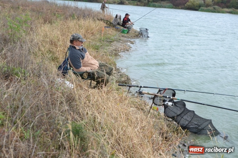 Zdjęcie w galerii na portalu naszraciborz.pl: Kiepskie branie na finał sezonu na stawie Brudny  wiadomości z regionu