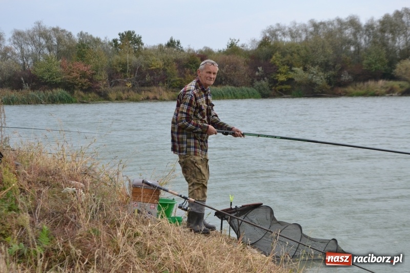 Zdjęcie w galerii na portalu naszraciborz.pl: Kiepskie branie na finał sezonu na stawie Brudny  wiadomości z regionu