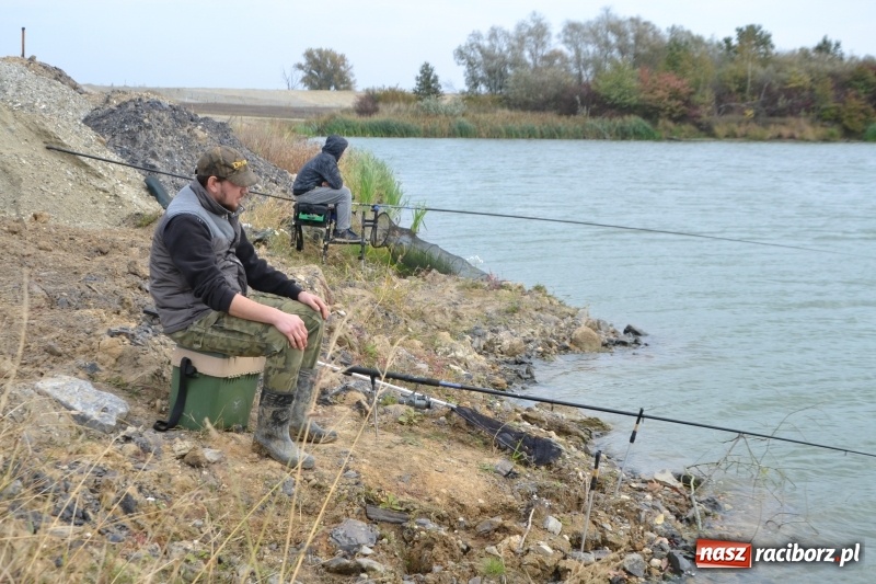 Zdjęcie w galerii na portalu naszraciborz.pl: Kiepskie branie na finał sezonu na stawie Brudny  wiadomości z regionu