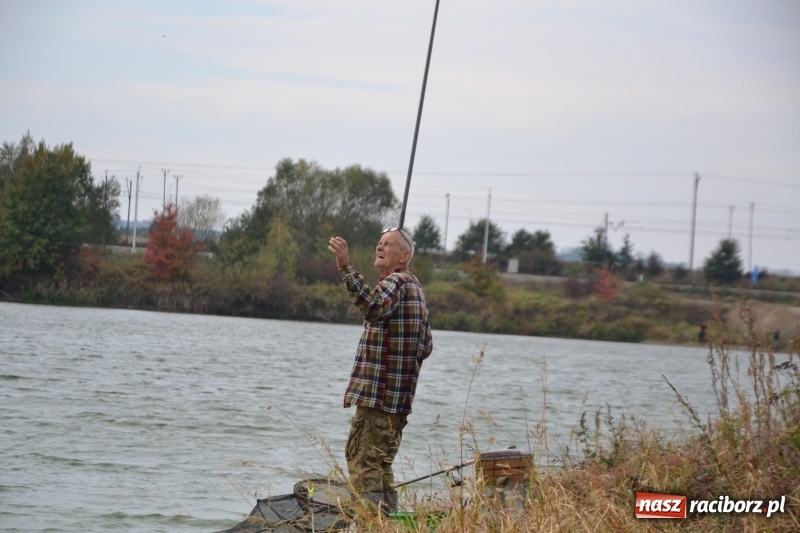 Zdjęcie w galerii na portalu naszraciborz.pl: Kiepskie branie na finał sezonu na stawie Brudny  wiadomości z regionu