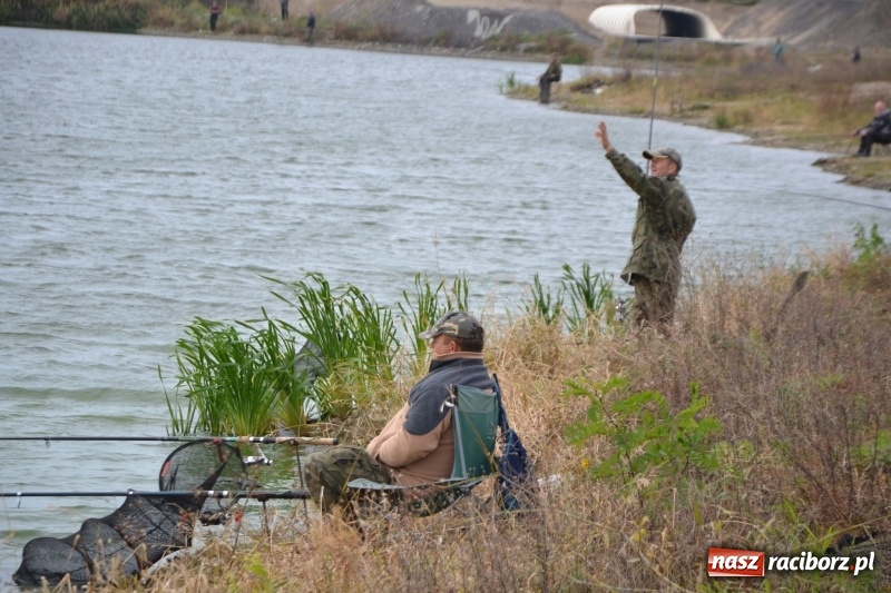 Zdjęcie w galerii na portalu naszraciborz.pl: Kiepskie branie na finał sezonu na stawie Brudny  wiadomości z regionu