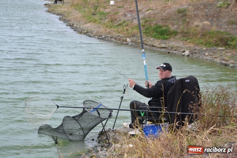Zdjęcie w galerii na portalu naszraciborz.pl: Kiepskie branie na finał sezonu na stawie Brudny  wiadomości z regionu