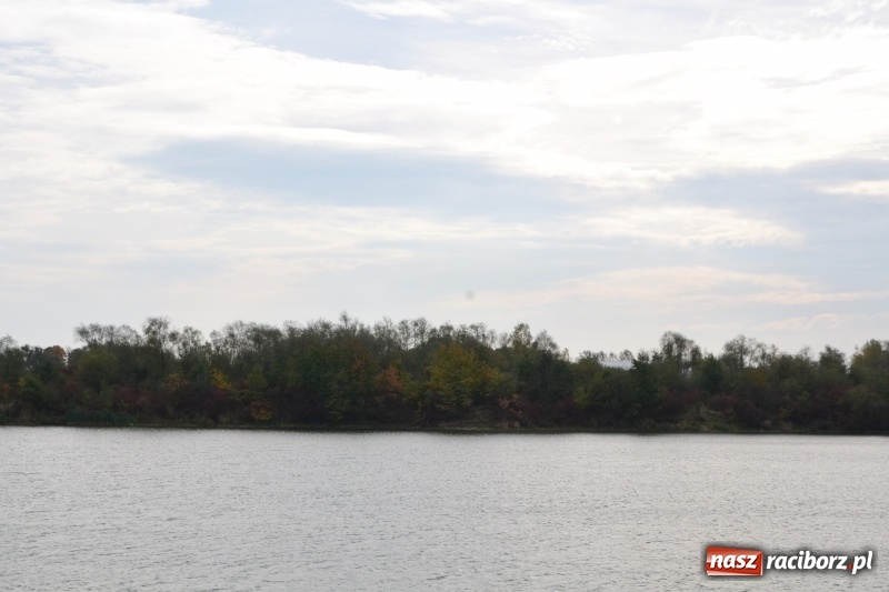 Zdjęcie w galerii na portalu naszraciborz.pl: Kiepskie branie na finał sezonu na stawie Brudny  wiadomości z regionu
