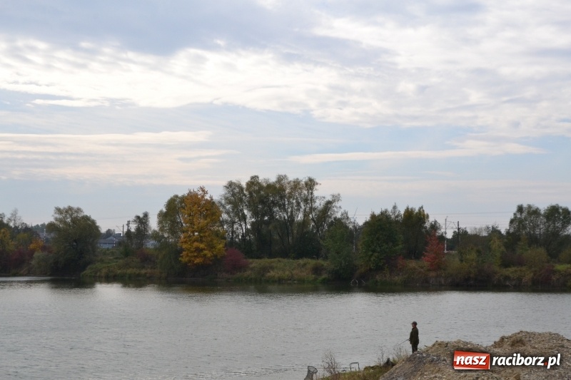 Zdjęcie w galerii na portalu naszraciborz.pl: Kiepskie branie na finał sezonu na stawie Brudny  wiadomości z regionu