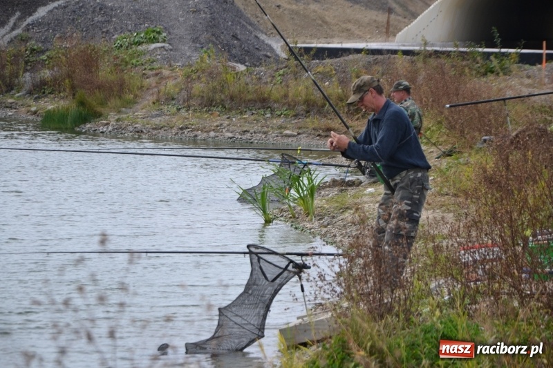 Zdjęcie w galerii na portalu naszraciborz.pl: Kiepskie branie na finał sezonu na stawie Brudny  wiadomości z regionu