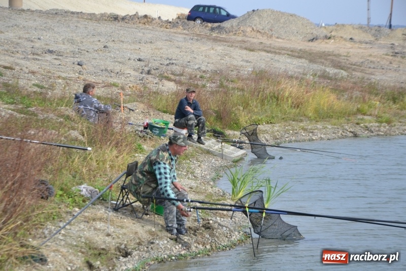 Zdjęcie w galerii na portalu naszraciborz.pl: Kiepskie branie na finał sezonu na stawie Brudny  wiadomości z regionu