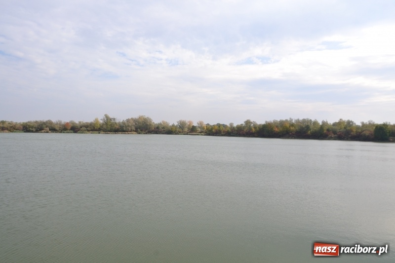 Zdjęcie w galerii na portalu naszraciborz.pl: Kiepskie branie na finał sezonu na stawie Brudny  wiadomości z regionu