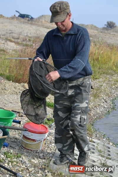 Zdjęcie w galerii na portalu naszraciborz.pl: Kiepskie branie na finał sezonu na stawie Brudny  wiadomości z regionu