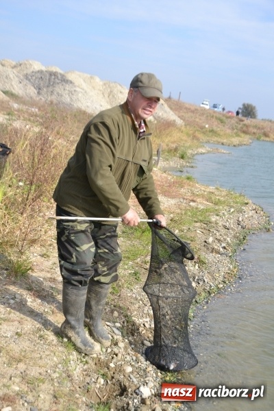 Zdjęcie w galerii na portalu naszraciborz.pl: Kiepskie branie na finał sezonu na stawie Brudny  wiadomości z regionu
