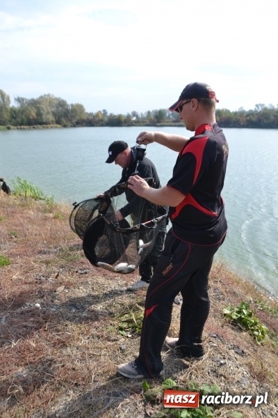 Zdjęcie w galerii na portalu naszraciborz.pl: Kiepskie branie na finał sezonu na stawie Brudny  wiadomości z regionu