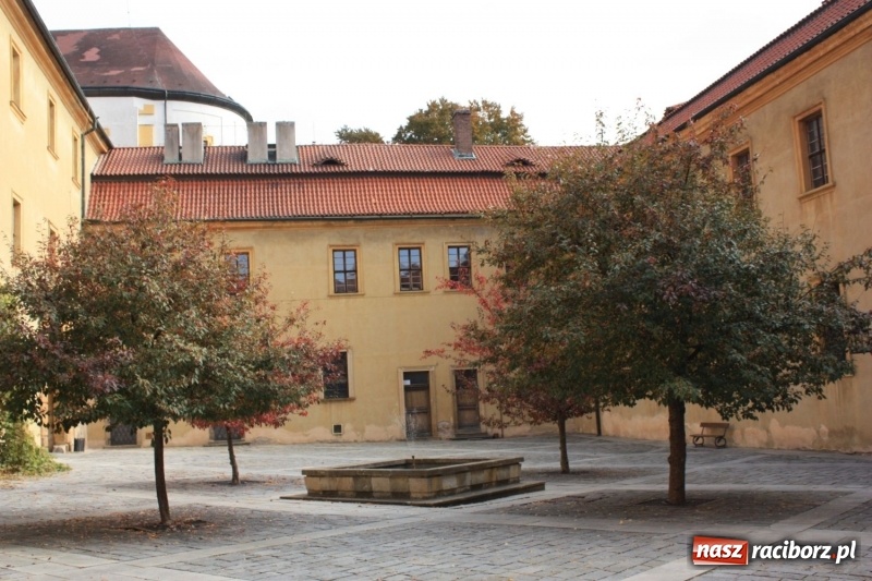 Zdjęcie w galerii na portalu naszraciborz.pl: W świecie rozbójnika Rumcajsa. Kolejne działanie projektowe krzanowickiego MOK wiadomości z regionu