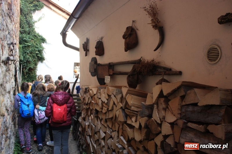 Zdjęcie w galerii na portalu naszraciborz.pl: W świecie rozbójnika Rumcajsa. Kolejne działanie projektowe krzanowickiego MOK wiadomości z regionu