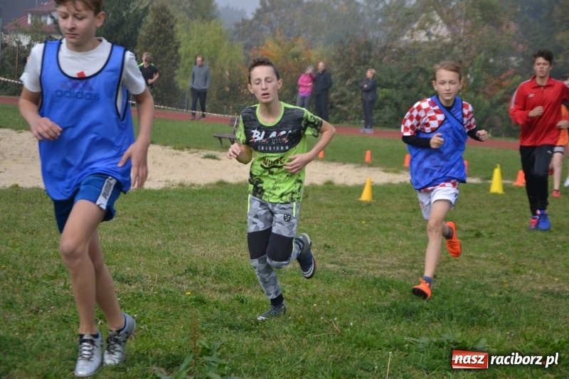 Zdjęcie w galerii na portalu naszraciborz.pl: Gminne zawody w biegach przełajowych  wiadomości z regionu