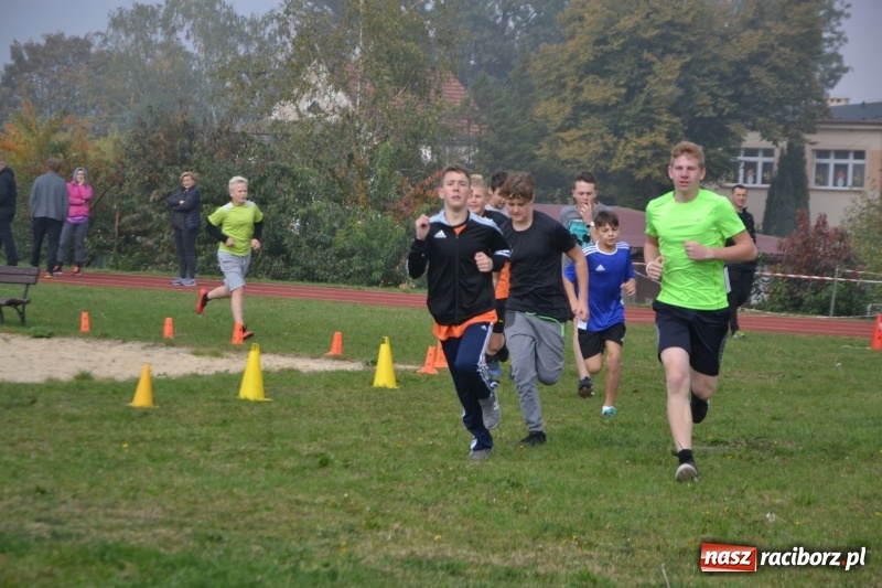 Zdjęcie w galerii na portalu naszraciborz.pl: Gminne zawody w biegach przełajowych  wiadomości z regionu