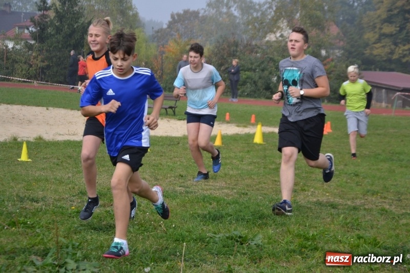 Zdjęcie w galerii na portalu naszraciborz.pl: Gminne zawody w biegach przełajowych  wiadomości z regionu