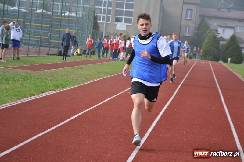 Zdjęcie w galerii na portalu naszraciborz.pl: Gminne zawody w biegach przełajowych  wiadomości z regionu