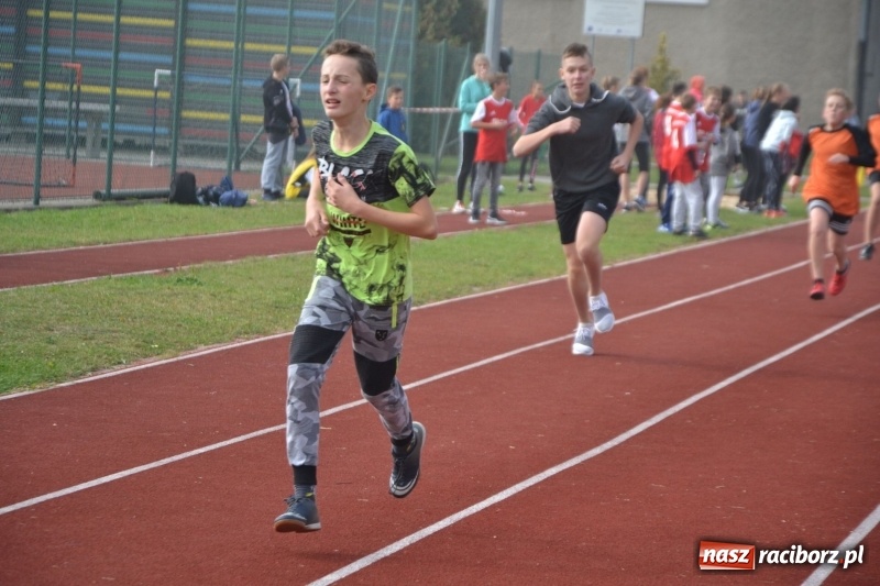 Zdjęcie w galerii na portalu naszraciborz.pl: Gminne zawody w biegach przełajowych  wiadomości z regionu
