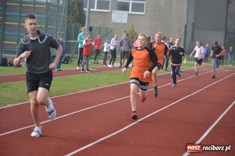 Zdjęcie w galerii na portalu naszraciborz.pl: Gminne zawody w biegach przełajowych  wiadomości z regionu