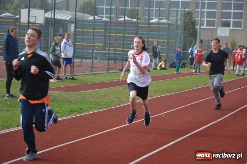 Zdjęcie w galerii na portalu naszraciborz.pl: Gminne zawody w biegach przełajowych  wiadomości z regionu