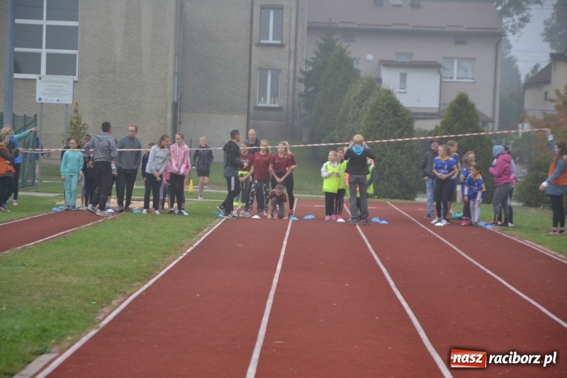Zdjęcie w galerii na portalu naszraciborz.pl: Gminne zawody w biegach przełajowych  wiadomości z regionu